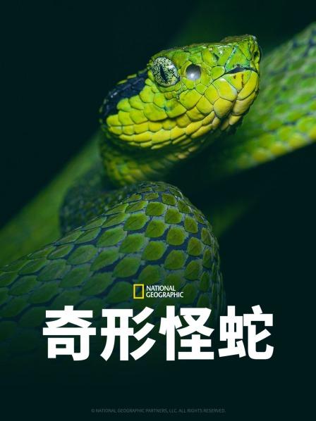 抖阴短视频《奇形怪蛇》免费在线观看